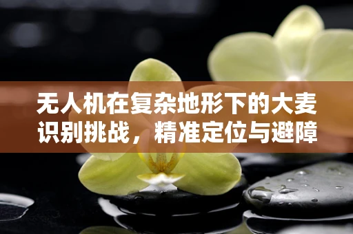 无人机在复杂地形下的大麦识别挑战，精准定位与避障的难题