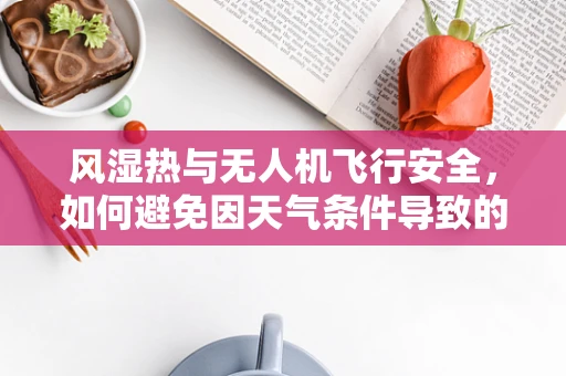 风湿热与无人机飞行安全，如何避免因天气条件导致的飞行障碍？