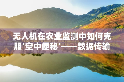 无人机在农业监测中如何克服‘空中便秘’——数据传输瓶颈？