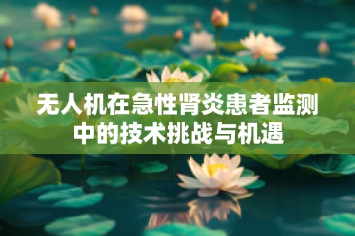 无人机在急性肾炎患者监测中的技术挑战与机遇