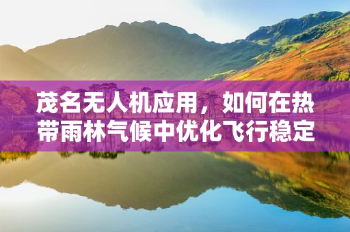 茂名无人机应用，如何在热带雨林气候中优化飞行稳定性？