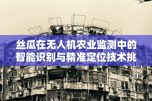 丝瓜在无人机农业监测中的智能识别与精准定位技术挑战
