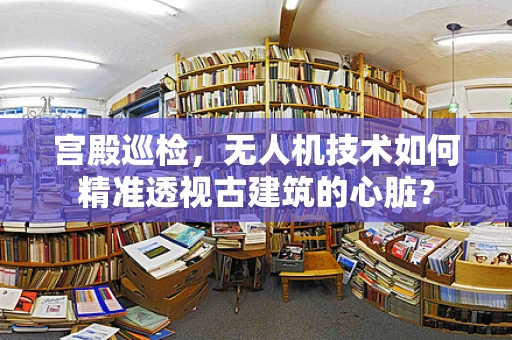 宫殿巡检，无人机技术如何精准透视古建筑的心脏？