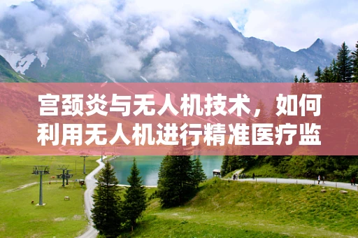 宫颈炎与无人机技术，如何利用无人机进行精准医疗监测？