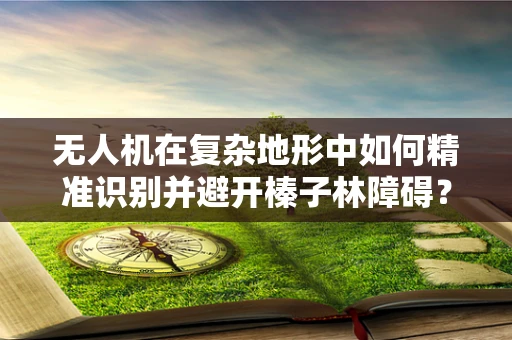 无人机在复杂地形中如何精准识别并避开榛子林障碍？