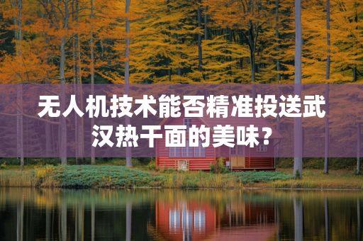 无人机技术能否精准投送武汉热干面的美味？