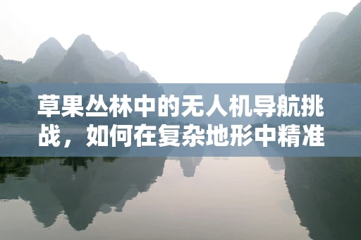 草果丛林中的无人机导航挑战，如何在复杂地形中精准定位？