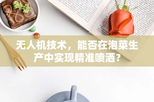 无人机技术，能否在泡菜生产中实现精准喷洒？