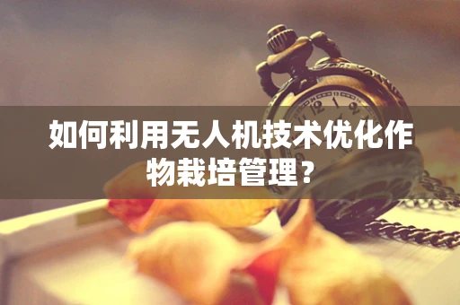 如何利用无人机技术优化作物栽培管理？
