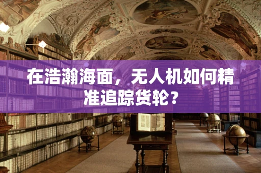 在浩瀚海面，无人机如何精准追踪货轮？