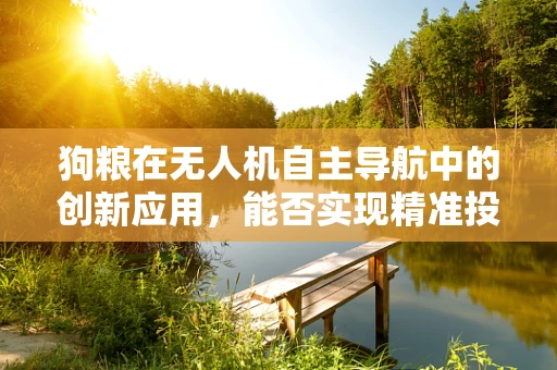 狗粮在无人机自主导航中的创新应用，能否实现精准投送？