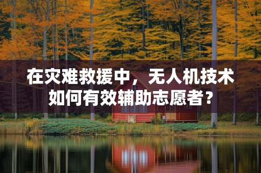 在灾难救援中，无人机技术如何有效辅助志愿者？