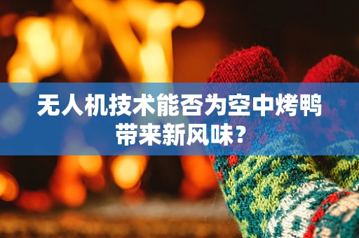 无人机技术能否为空中烤鸭带来新风味？