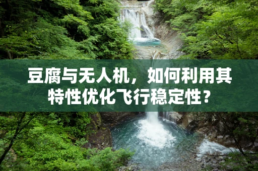 豆腐与无人机，如何利用其特性优化飞行稳定性？