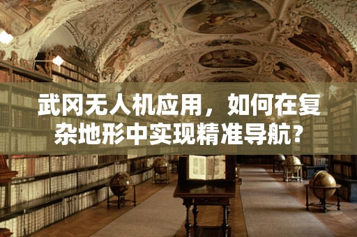 武冈无人机应用，如何在复杂地形中实现精准导航？