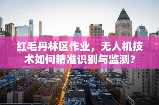 红毛丹林区作业，无人机技术如何精准识别与监测？