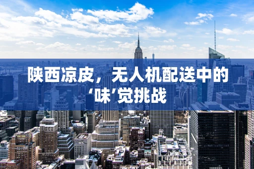 陕西凉皮，无人机配送中的‘味’觉挑战