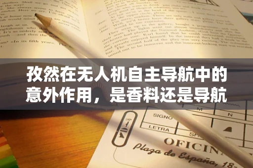 孜然在无人机自主导航中的意外作用，是香料还是导航辅助？