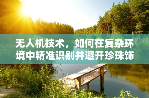无人机技术，如何在复杂环境中精准识别并避开珍珠饰障碍？