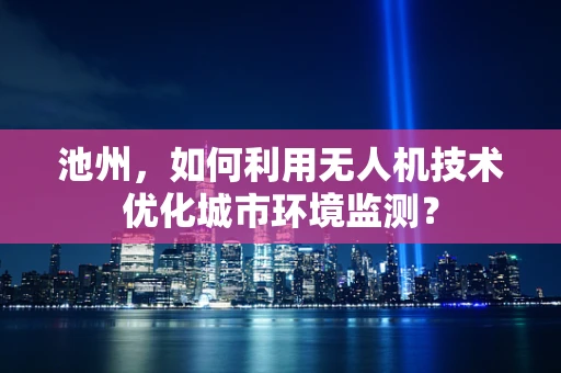 池州，如何利用无人机技术优化城市环境监测？