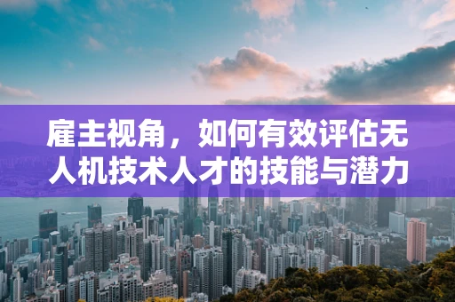 雇主视角，如何有效评估无人机技术人才的技能与潜力？