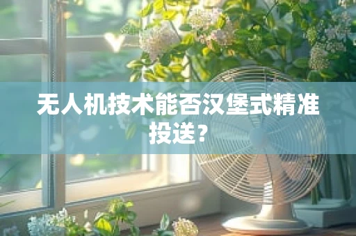 无人机技术能否汉堡式精准投送？