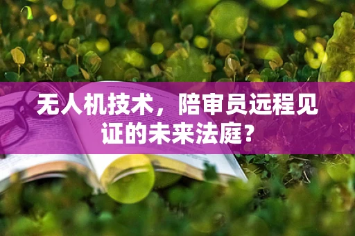 无人机技术，陪审员远程见证的未来法庭？
