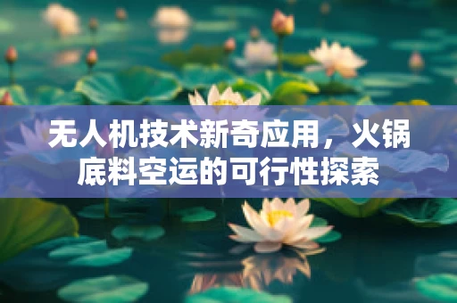 无人机技术新奇应用，火锅底料空运的可行性探索