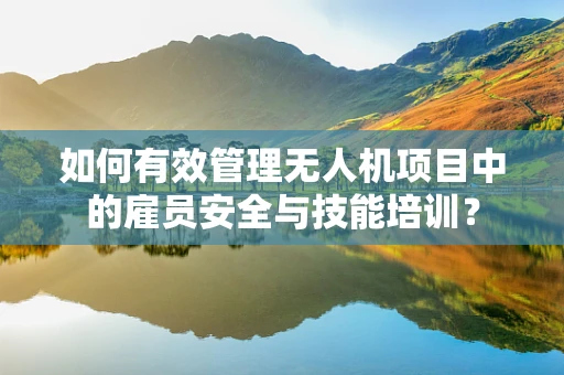 如何有效管理无人机项目中的雇员安全与技能培训？