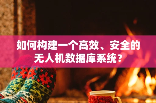 如何构建一个高效、安全的无人机数据库系统？