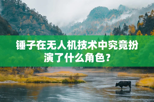 锤子在无人机技术中究竟扮演了什么角色？