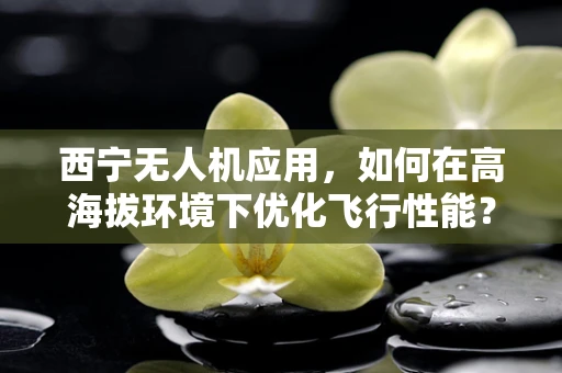 西宁无人机应用，如何在高海拔环境下优化飞行性能？