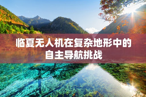 临夏无人机在复杂地形中的自主导航挑战