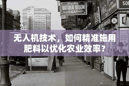 无人机技术，如何精准施用肥料以优化农业效率？