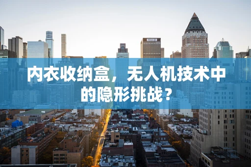 内衣收纳盒，无人机技术中的隐形挑战？