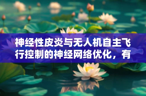 神经性皮炎与无人机自主飞行控制的神经网络优化，有何潜在联系？