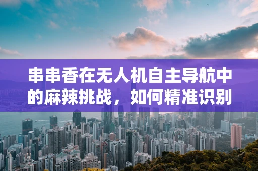 串串香在无人机自主导航中的麻辣挑战，如何精准识别与避障？