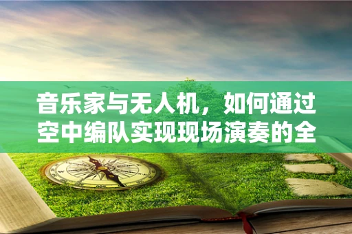 音乐家与无人机，如何通过空中编队实现现场演奏的全新体验？