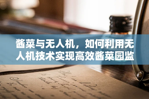 酱菜与无人机，如何利用无人机技术实现高效酱菜园监控？