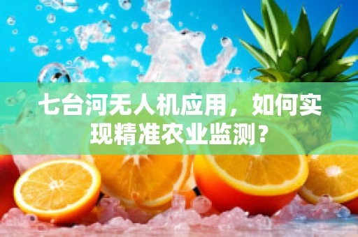 七台河无人机应用，如何实现精准农业监测？