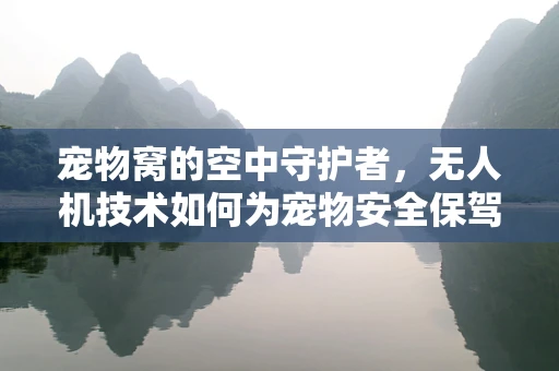 宠物窝的空中守护者，无人机技术如何为宠物安全保驾护航？
