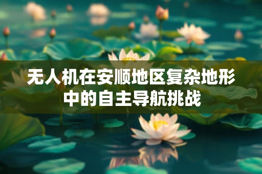 无人机在安顺地区复杂地形中的自主导航挑战