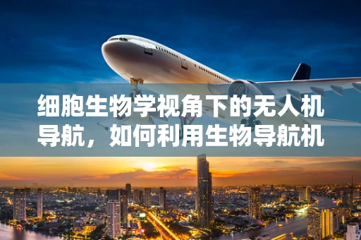 细胞生物学视角下的无人机导航，如何利用生物导航机制提升飞行性能？