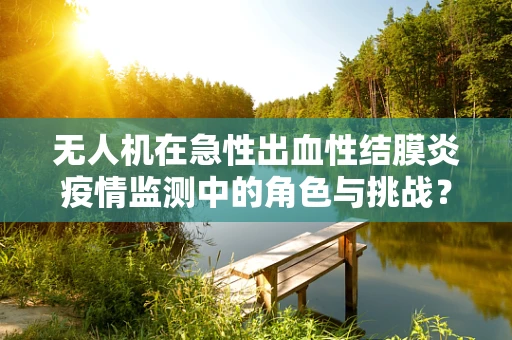 无人机在急性出血性结膜炎疫情监测中的角色与挑战？