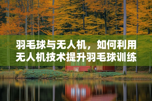 羽毛球与无人机，如何利用无人机技术提升羽毛球训练的精准度？