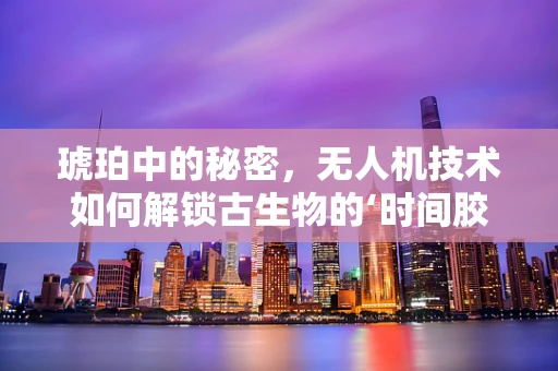 琥珀中的秘密，无人机技术如何解锁古生物的‘时间胶囊’？