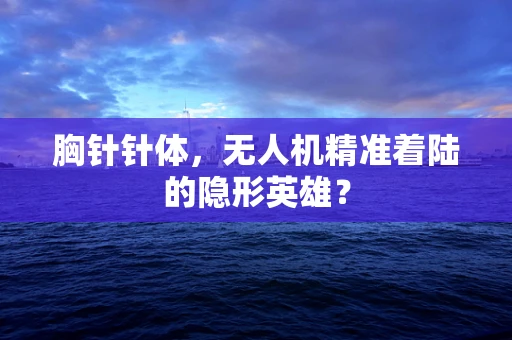 胸针针体，无人机精准着陆的隐形英雄？