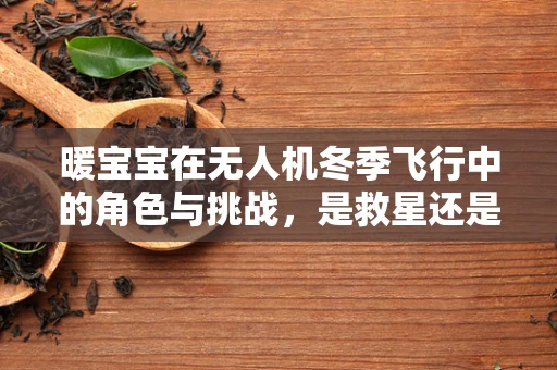 暖宝宝在无人机冬季飞行中的角色与挑战，是救星还是隐患？