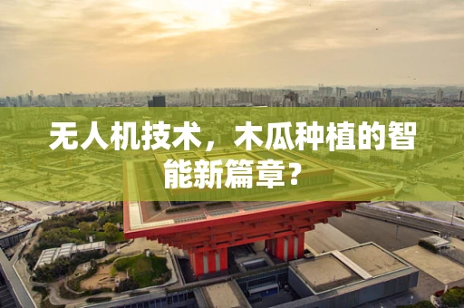 无人机技术，木瓜种植的智能新篇章？