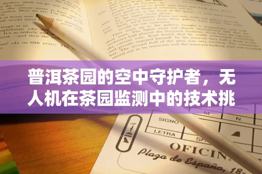 普洱茶园的空中守护者，无人机在茶园监测中的技术挑战与解决方案